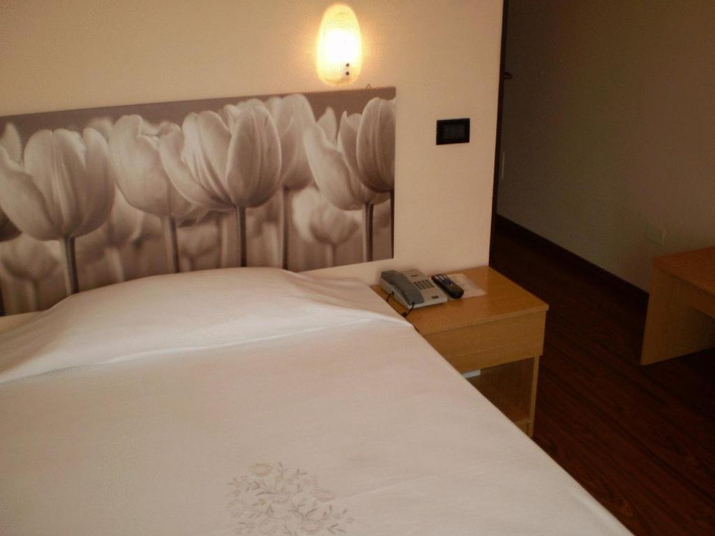 Albergo Grappolo D'Oro Montebelluna Εξωτερικό φωτογραφία